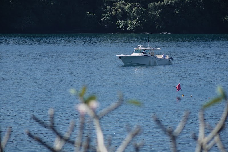 VINKA BOAT RENTAL