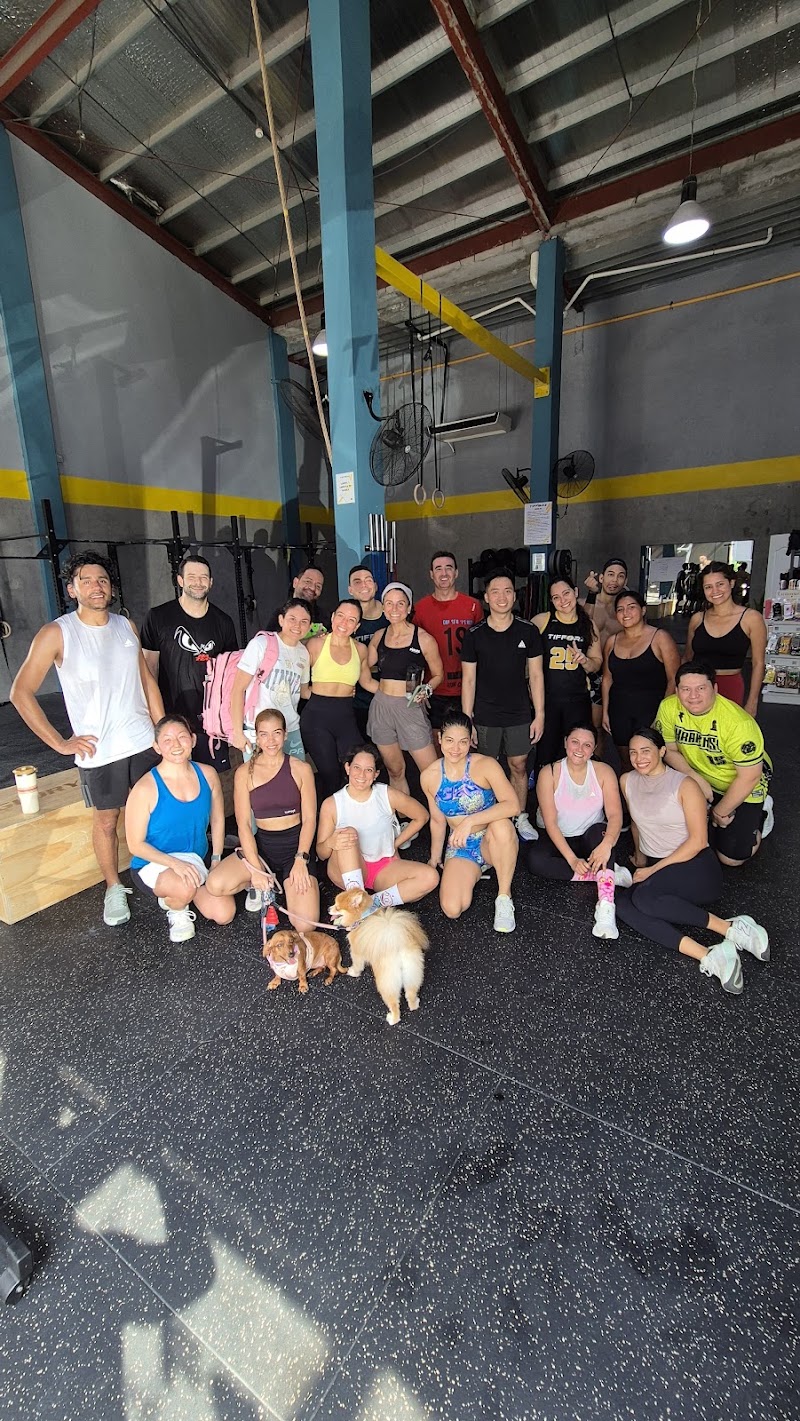 TIFFORZ HYBRID TRAINING CENTER