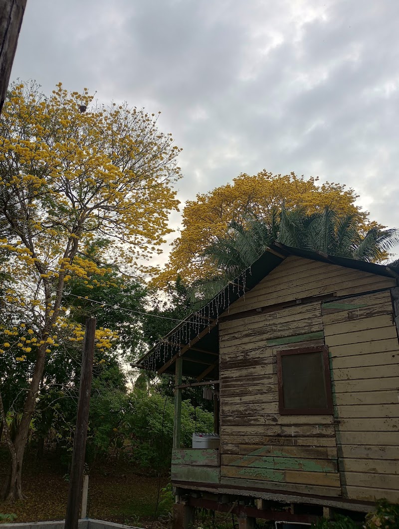 Hostel GuaYacan