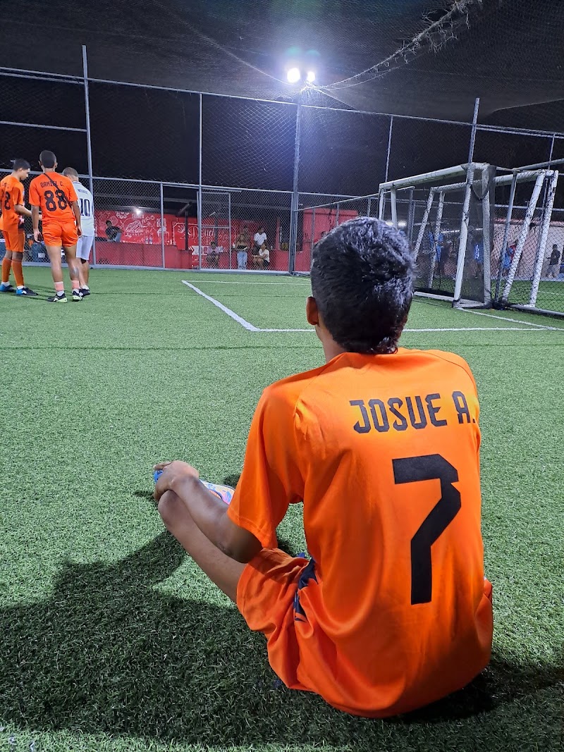 Sintética Futgold