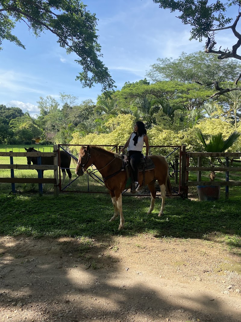 FINCA VALLE ALEGRE