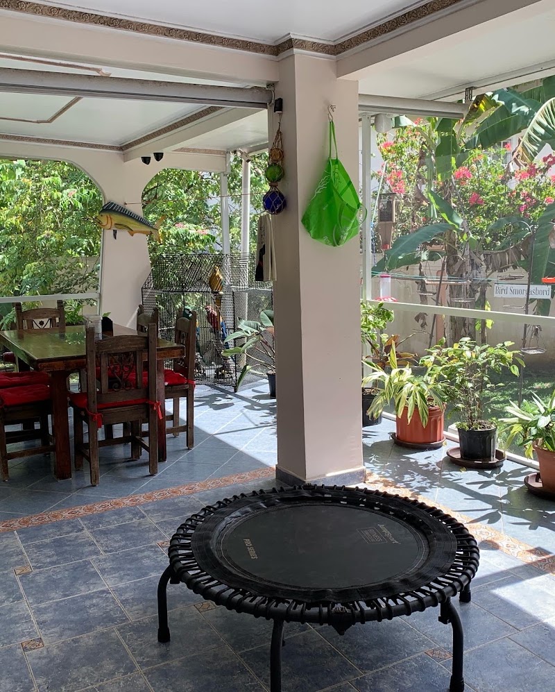 Greg’s Place in Albrook