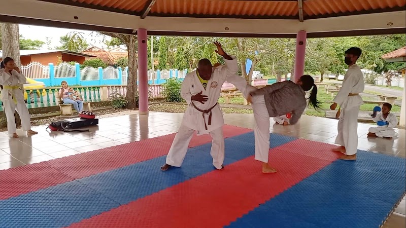 Shingitai Karate Do