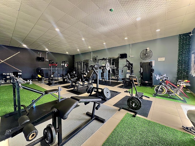 VibeFitnessGym
