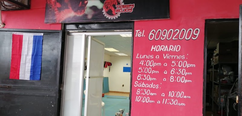 Tigres Rojos Taekwondo | Vista Alegre