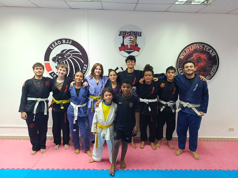 Academia Leão BJJ de jiu jitsu brasileño David Centro